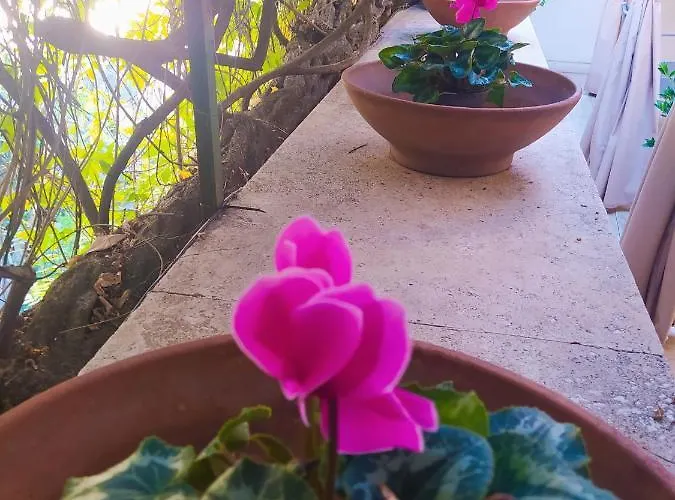 Garden House - Luxury - Self Check-in Only Roma
